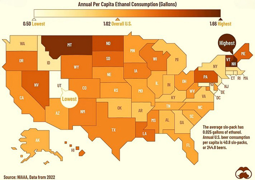 20241207-Beer consumption small.jpg